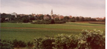 Neckarwestheim von Norden